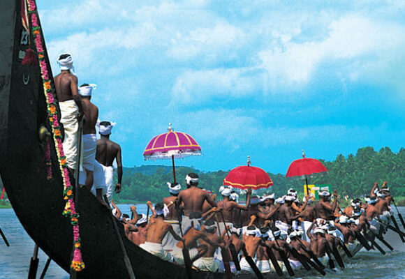 The 9 Best Fridge Freezers wich Keep  the Vegetables Fresh