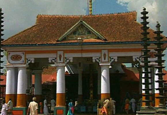 China to Build Massive $1.5 Billion Animal Conservation Area