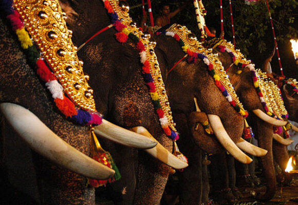 The Best Food you can Buy for a Fiver. Guess what It Is