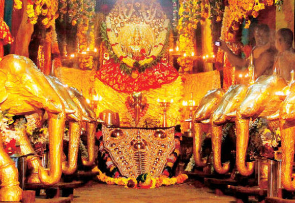 Urban Gardens: Good for the Community, Good for the Environment