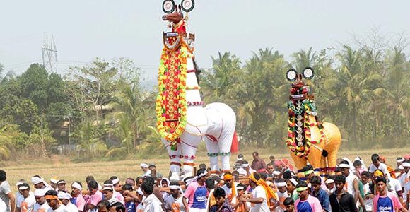 Everything you Need to Know about Trips to See the Great Places