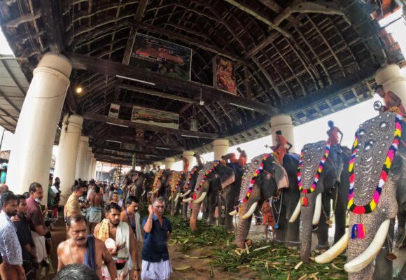 Why is GoPro Launch so Significant for Development?